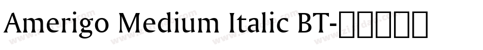 Amerigo Medium Italic BT字体转换
